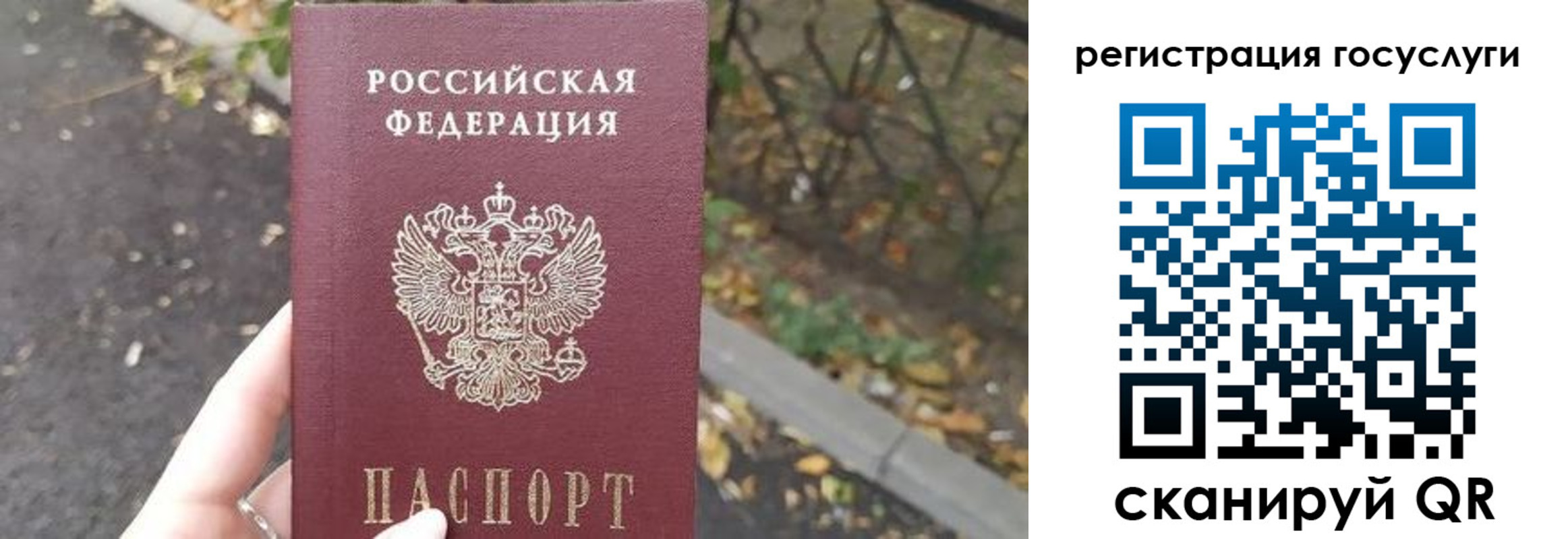 купить прописку в Коркино